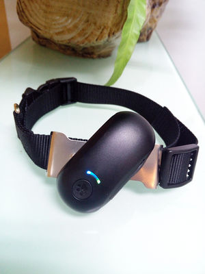 Quadband waterproof TK Star pet gps Tracker for dogs with free IOS & Android mobile device